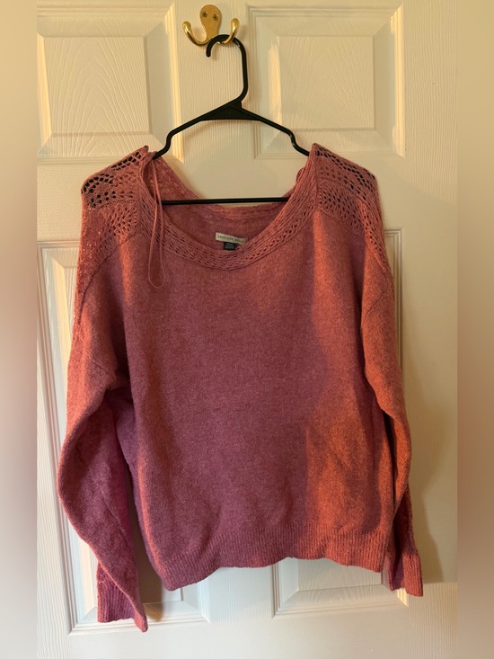 American Eagle Outfitters Sweaters - American Eagle Outfitters Rose Crewneck Sweater with Lace Yoke